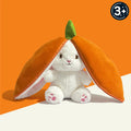 Carrot Bunny